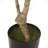 47.2'' Faux Eucalyptus Tree in Planter