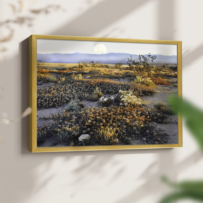 Anza Borrego - impression encadrée - réaménageable, H 8 po x l 10 po