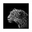 «Leopard I», reproduction de photo sur toile-29172248-72782606-72782605