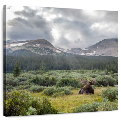 Orignal d'Alvord Brainard Lake