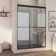 60 " W x 70" H Reversible Frameless Shower Door with Two Handles