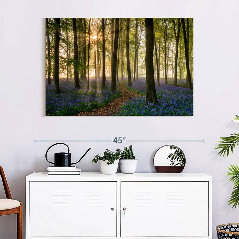 Chemin à travers le bois Bluebell dans la brume, H 26 po x l 39 po