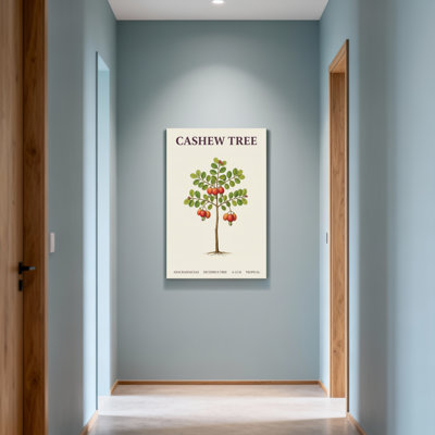 Plantes et fleurs de cajou