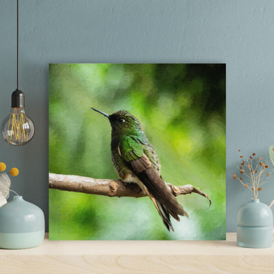 Colibri vert et brun sur une branche d'arbre brun pendant la journée - Reproduction d'art graphique rectangulaire sur toile tendue 1 pièce