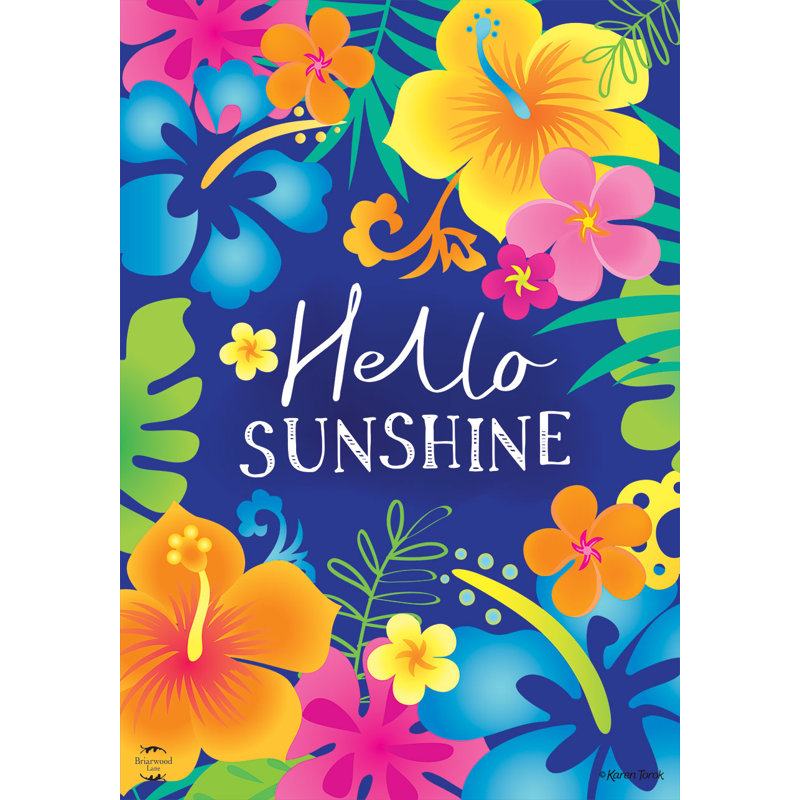 Hello Sunshine House Flag