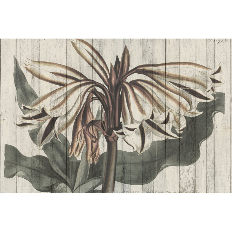 Rustic Floral III by Studio W - Wrapped Canvas Art Prints, 51cm H x 76cm W x 3.8cm D