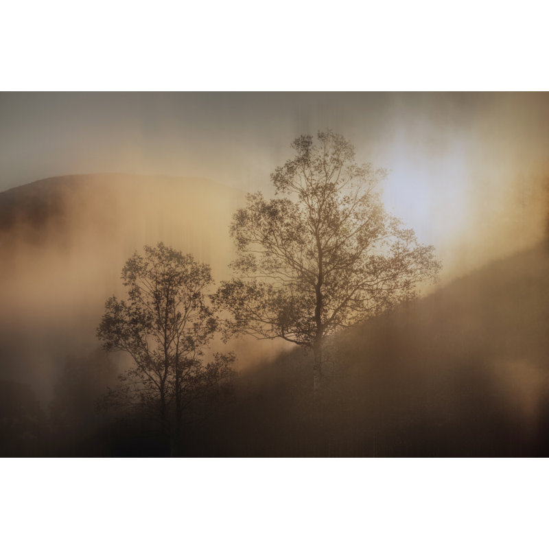 Wrapped Canvas Print, 60.96 cm H x 91.44 cm W