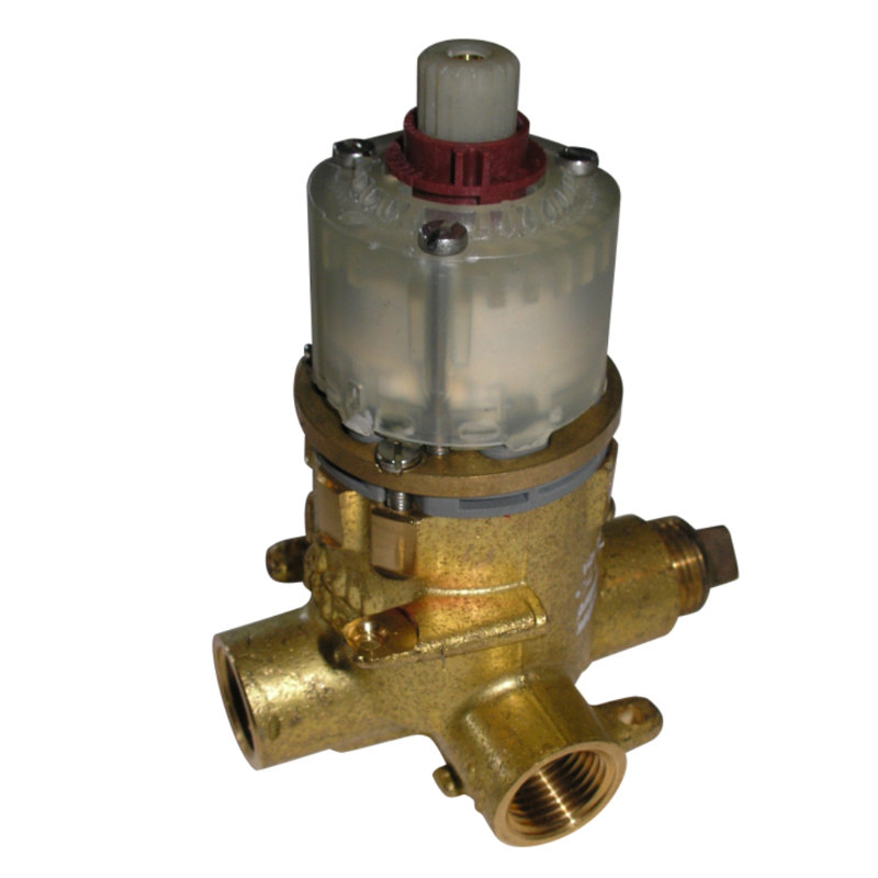 Rough Valve Body with Stops