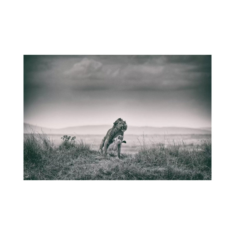 Hard 1 Piece Wrapped Canvas Wall Art, 101.6 cm H x 66.04 cm W x 3.175 cm D