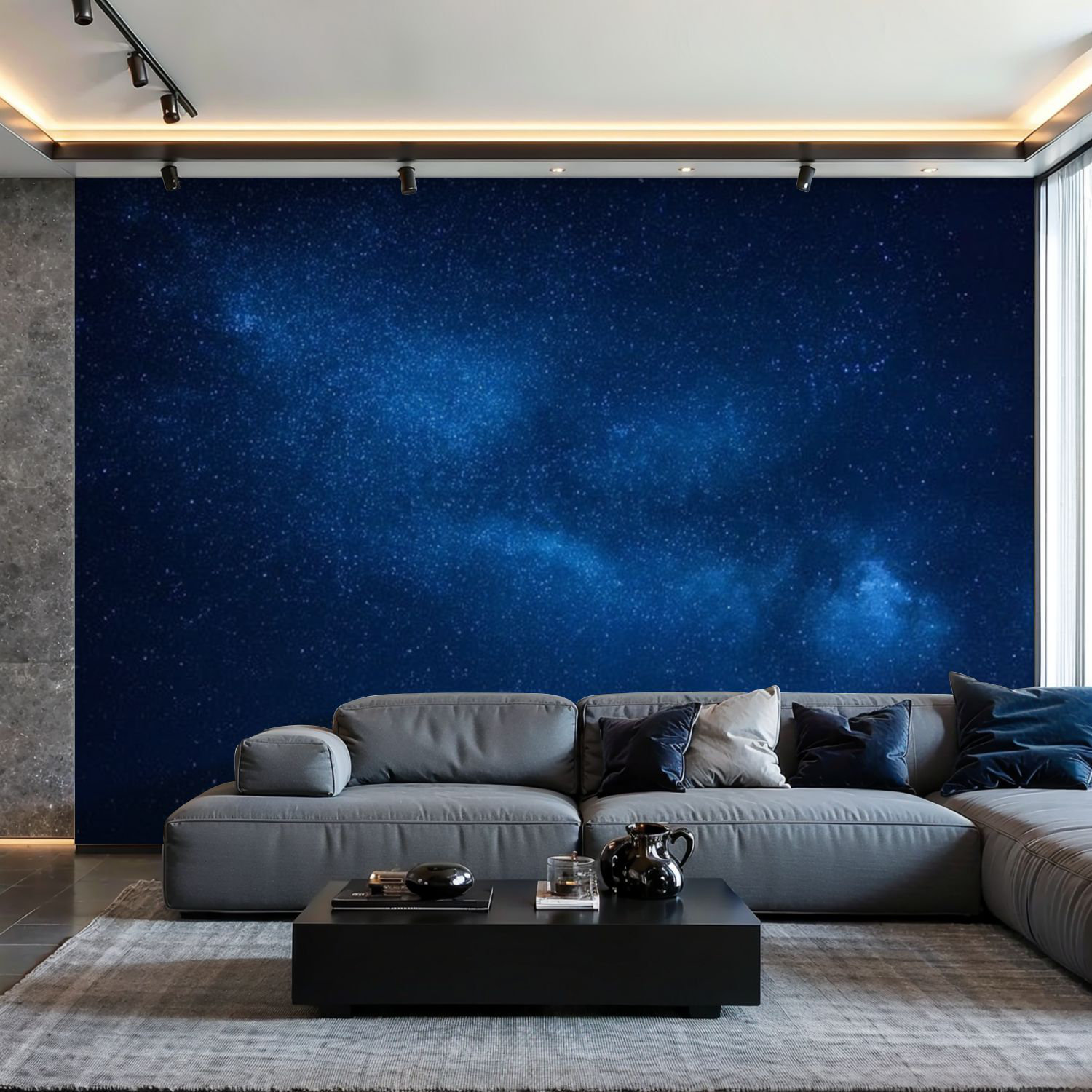 Ivy Bronx Peel and Stick Wallpaper Wall Mural dark night sky stars Wall ...
