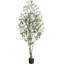 180cm Plant