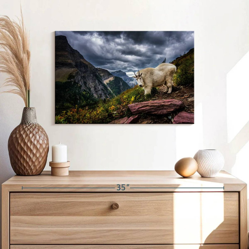 Brampt Rocky Mountain Goat, 16" H x 24" W