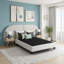 Oatmeal Modern Queen Bed