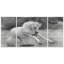 A Premium All For Show, impression sur toile tendue à multiples images-164401570