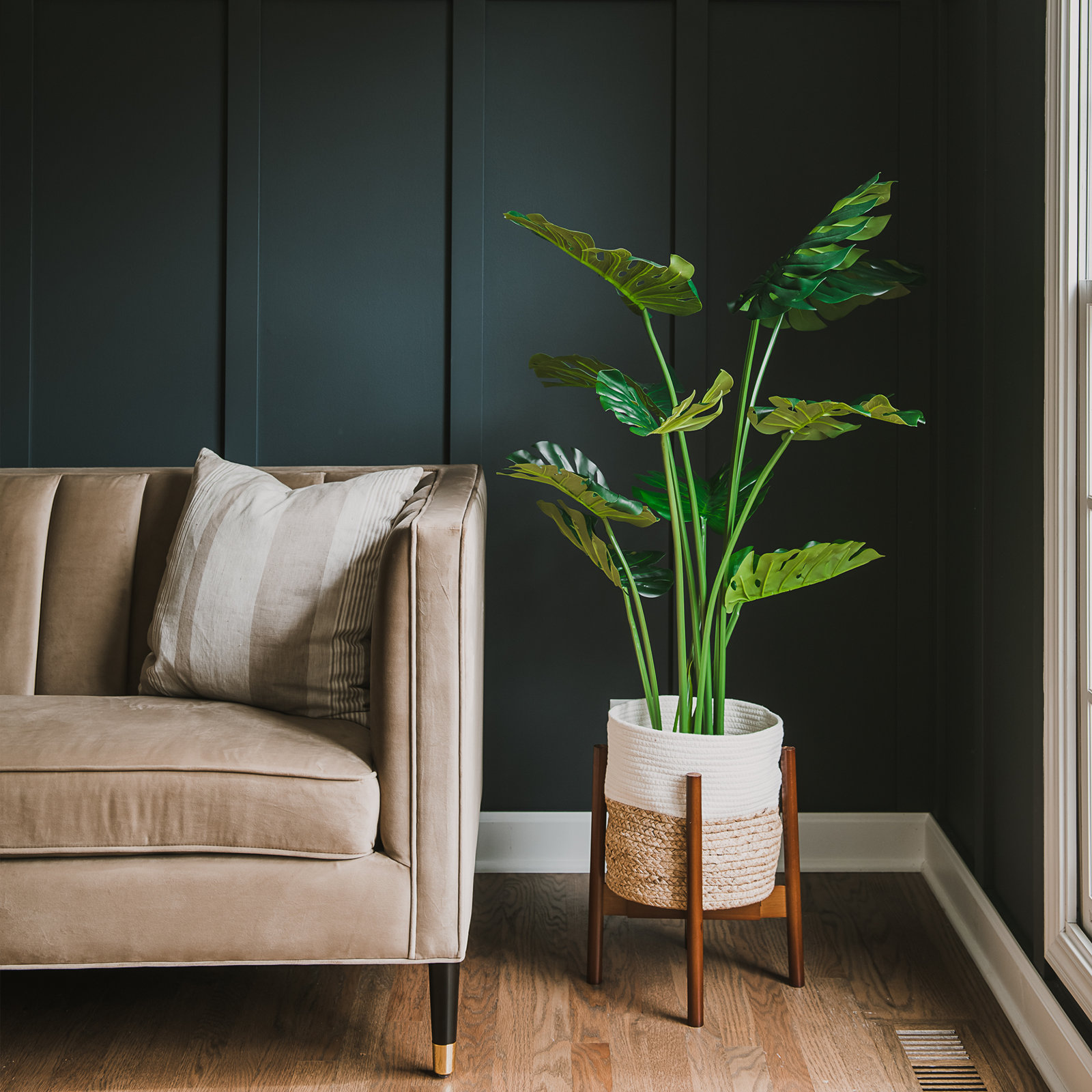 Monstera Plant in Pot, 48" H x 8" W x 8" D, 1