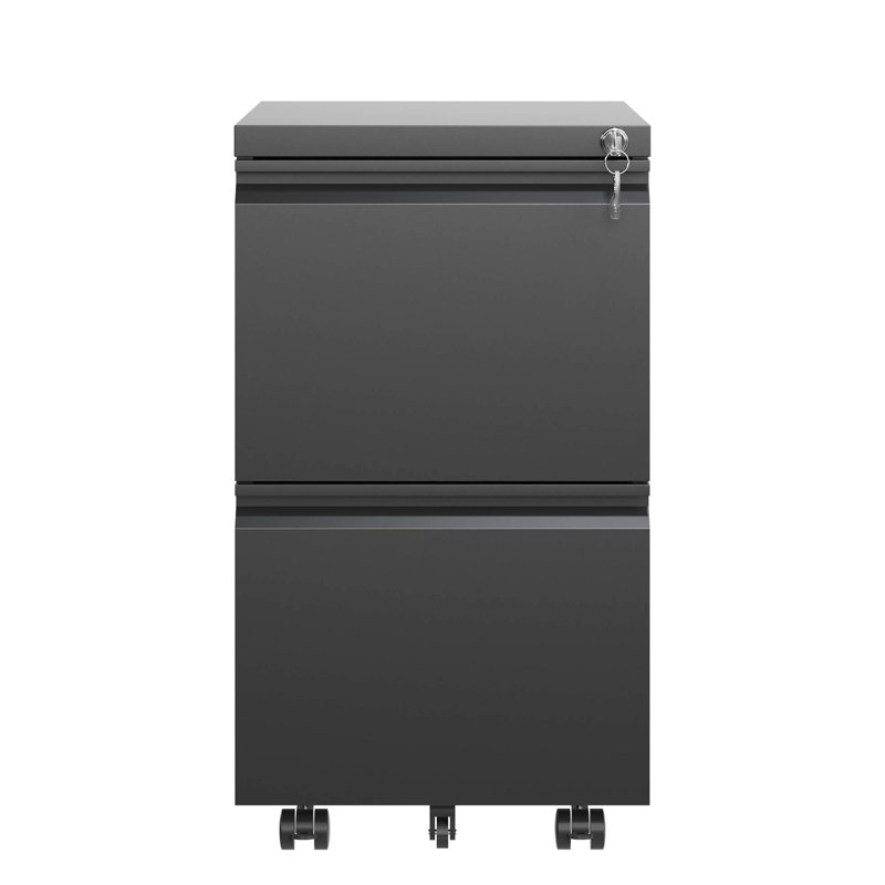 2 Drawer Metal Mobile File Cabinet With Lock - Stores Legal/Letter/A4 Docs, Fully Assembled Black Office Equipment Locking Drawers Files, Accessory