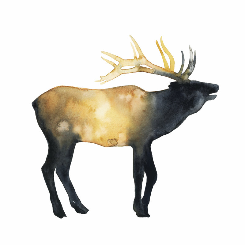 Elk Aglow II by Grace Popp - Wrapped Canvas Print, 30cm H x 30cm W x 3.8cm D