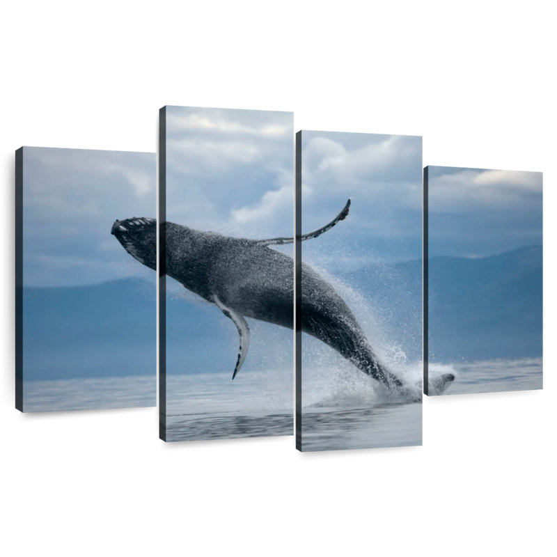 Brampt Breaching Humpback Whale, 27" H x 43" W