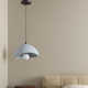 Danthony Single Light Polyester Dimmable Pendant