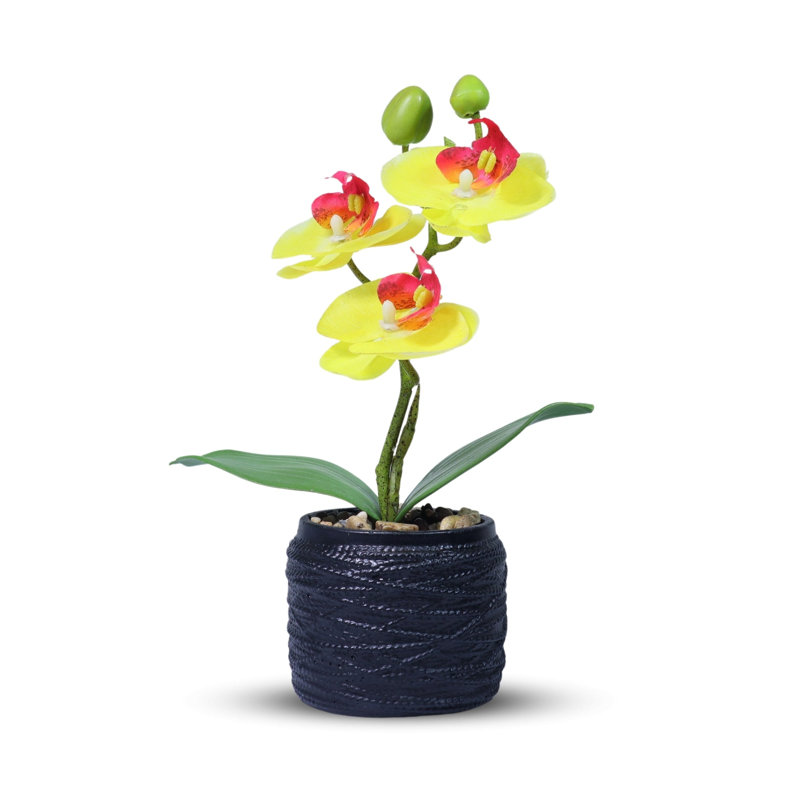 Petite plante artificielle orchidée rose d'intérieur, 9 pouces, 3 cm, Jaune, Noir