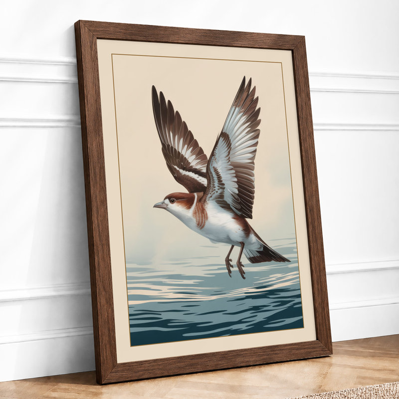 Seabird in Flight Coastal - Framed Print, A3 - 42.0 x 29.7 cm, Walnut