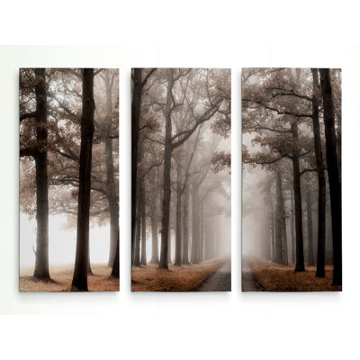 «Misty Road», image multi-pièces sur toile tendue