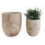Ensemble de pots à fleurs en bois 2 pièces Clintondale