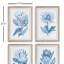 Imprimés indigo protea