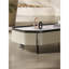 Table basse Modern Light Luxury