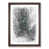 Walnut Framed