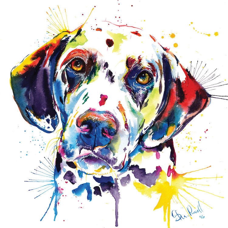 « dalmation », impression sur toile, H 18 po x l 18 po x P 1,5 po, Toile avec cadre noir, Pas de tapis