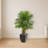 Kentia Palm Artificial Tree in Black Planter