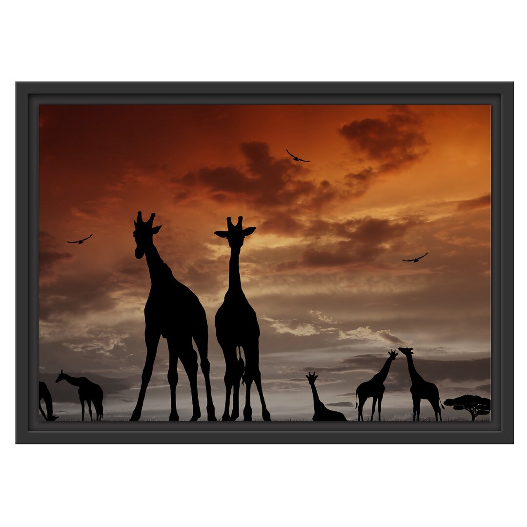 Gerahmtes Wandbild Afrika GiraffenSonnenuntergang