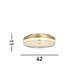 Bacquie Acrylic LED Flush Mount-1578585583-1578585582