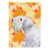 Sealyham Terrier sélectionné