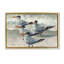 «Birds on Sandy Beach» par Christine Reichow-1583985228-1586605205