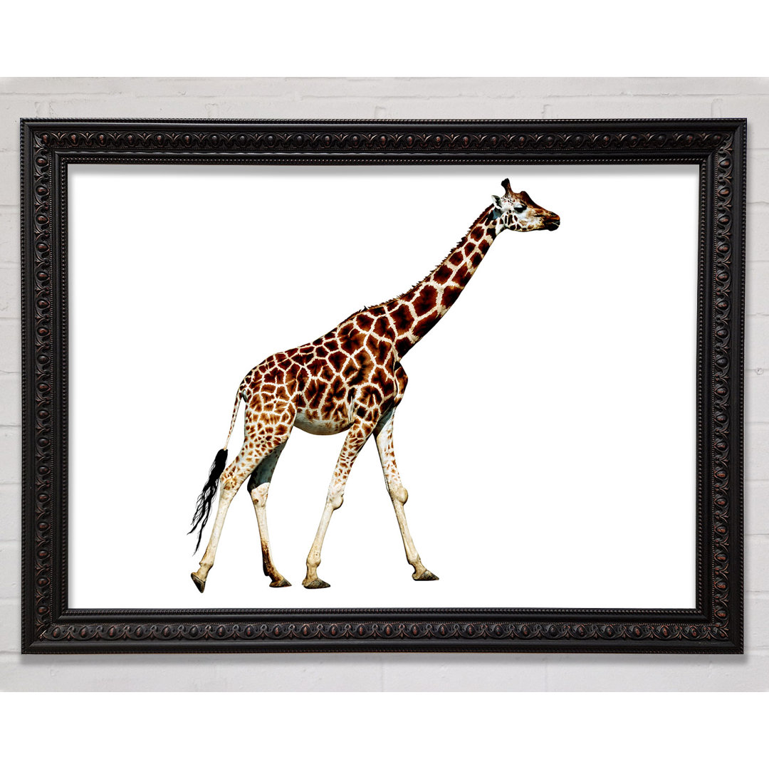 Giraffe Walk - Einzelner Bilderrahmen Kunstdrucke