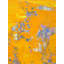 176 Sole Print by Anne B. Schwartz-65852985-65828355