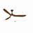 Modern Smart Ceiling Fan With Led Light-1133478863