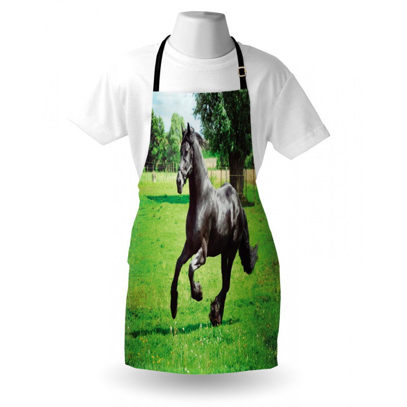 Bib Apron