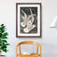 Two Flying Seagulls by Theo Van Hoytema - Picture Frame Painting-62792699-62792702