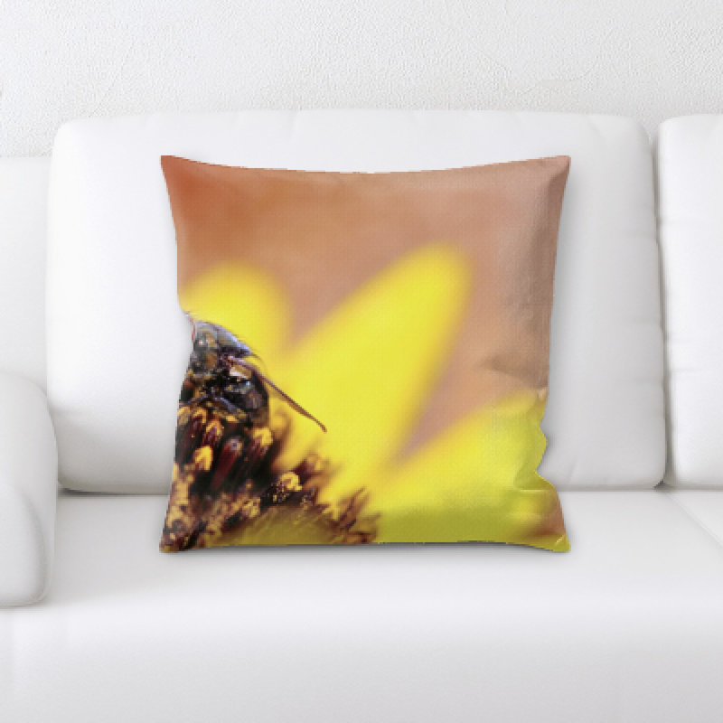 Coussin décoratif