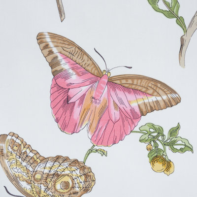 Baudin Butterfly Chintz Fabric
