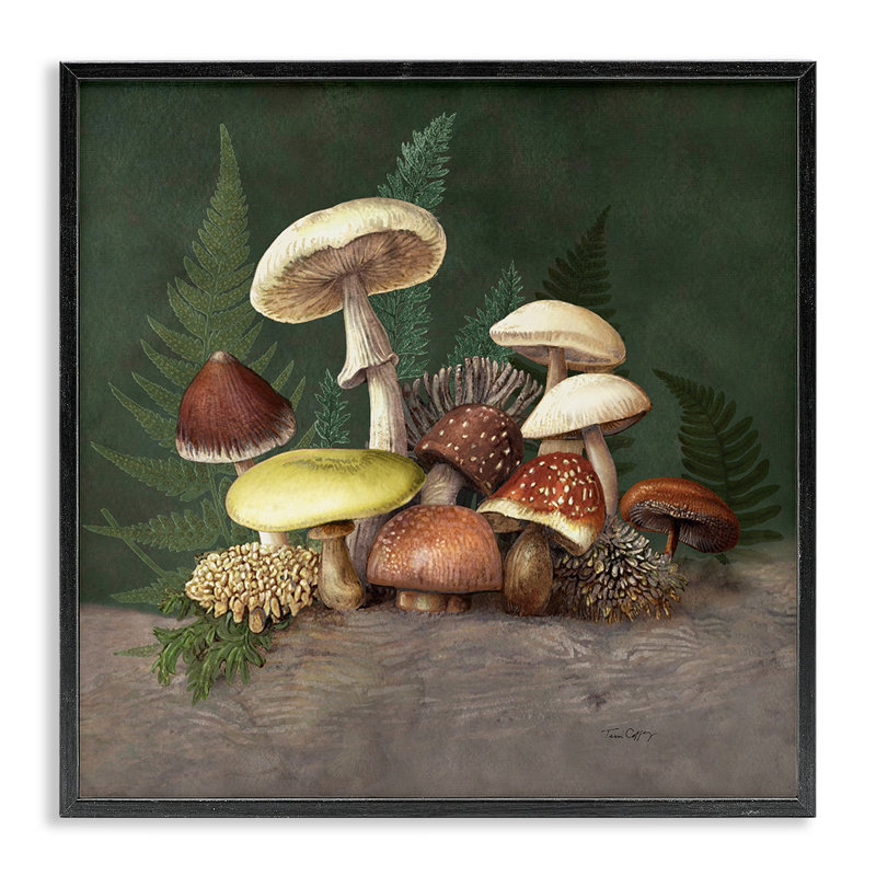 Estampe numérique champignon et fougère, design par Tim Coffey, Giclée encadrée noir minuit, H 12 po x l 12 po