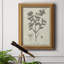 Toile encadrée botanique antique de qualité supérieure noire et blanche - prête à être accrochée-2088424028