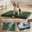 Dog Toilet