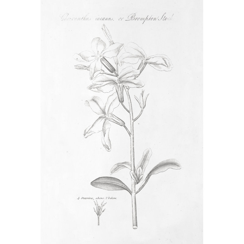 Botany Book IX - Wrapped Canvas Painting, 30cm H x 20cm W x 3.8cm D