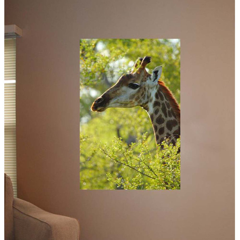 Animals Non-Wall Damaging Wall Decal, 36" H x 24" W