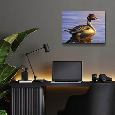 «Lone Pintail» par Mark Mueller, art animalier