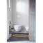 Toilette murale Duravit D-Neo